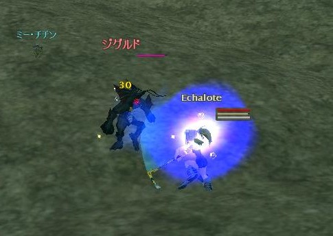 ジグルド「このミー・チチンには指一本ゴフッ」